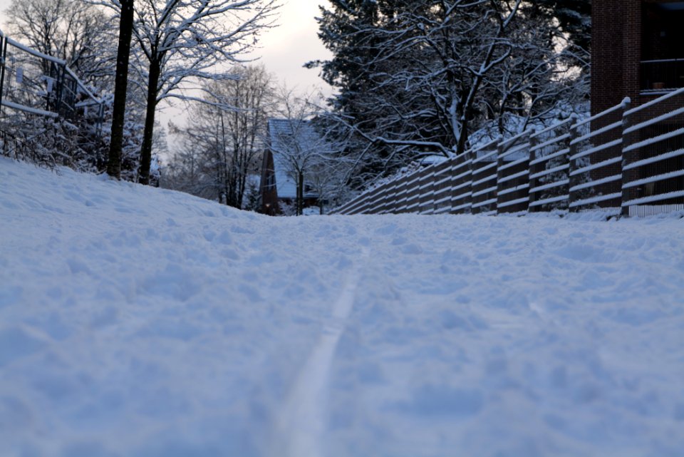 Around Griebnitzsee with snow 2021-01-30 12