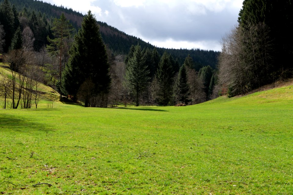 Around Sankenbach 2020-03-12 32