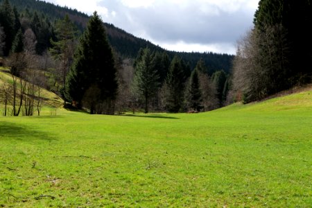 Around Sankenbach 2020-03-12 32