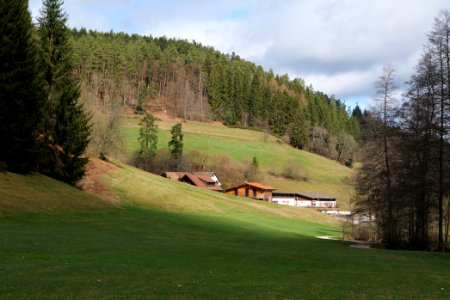 Around Sankenbach 2020-03-12 33