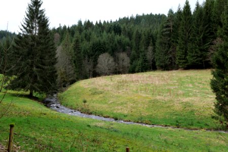 Around Sankenbach 2020-03-12 48