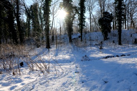 Around Schlachtensee with snow 2021-01-31 08
