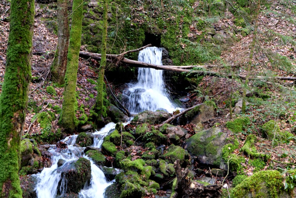Around Grobbach 2020-03-13 08