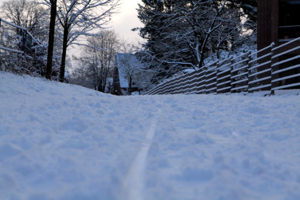 Around Griebnitzsee with snow 2021-01-30 11