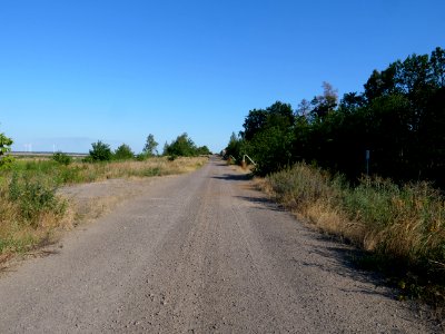Around Cottbuser Ostsee in july 2019 05