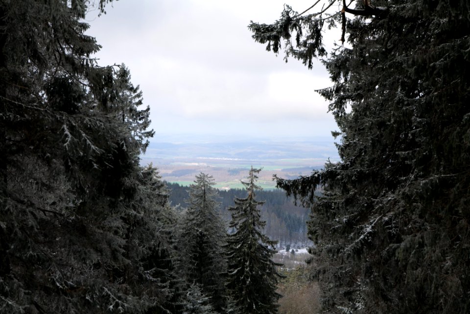 Around Brunhildispfad Großer Feldberg with snow 2021-04-06 23