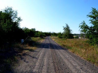 Around Cottbuser Ostsee in july 2019 02