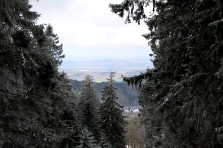 Around Brunhildispfad Großer Feldberg with snow 2021-04-06 22
