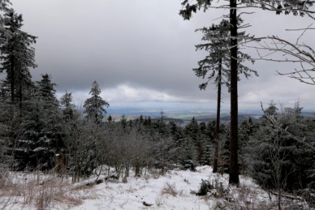 Around Brunhildispfad Großer Feldberg with snow 2021-04-06 61