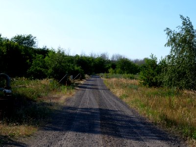 Around Cottbuser Ostsee in july 2019 04