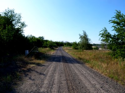 Around Cottbuser Ostsee in july 2019 03