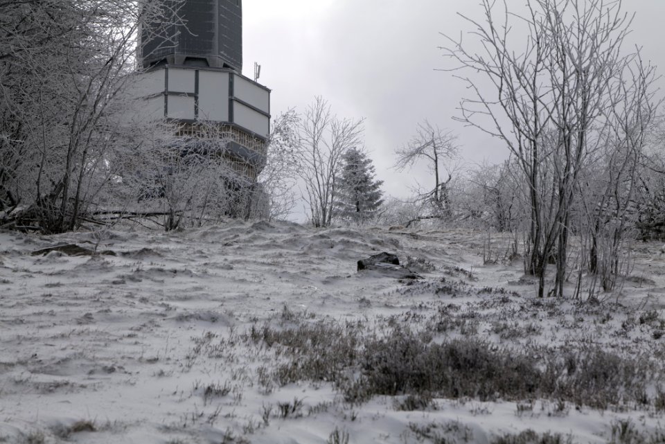 Around Brunhildispfad Großer Feldberg with snow 2021-04-06 54