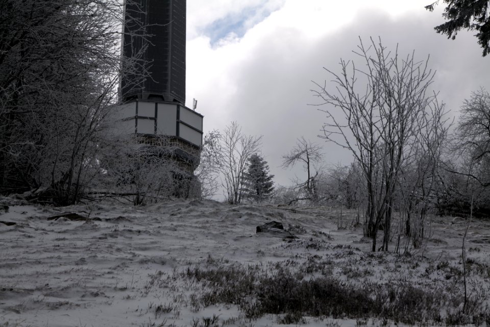 Around Brunhildispfad Großer Feldberg with snow 2021-04-06 56