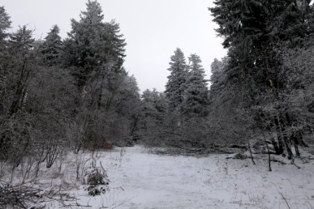 Around Brunhildispfad Großer Feldberg with snow 2021-04-06 27