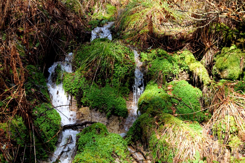Around Schwarzenbach Northern Black Forest 2020-03-15 54