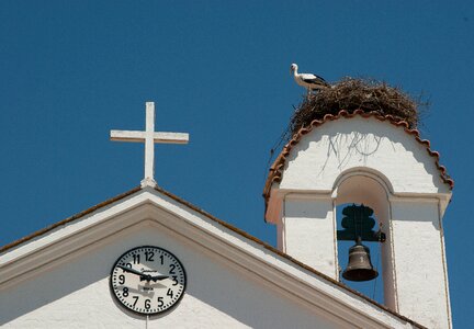 Church nest stork