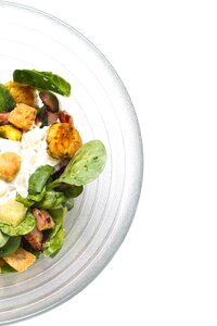 Salad gastronomy dish