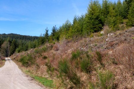 Around Schwarzenbachtalsperre 2020-03-15 02