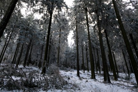 Around Weilquellpfad Taunus with snow 2021-04-06 53