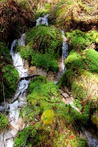 Around Schwarzenbach Northern Black Forest 2020-03-15 57
