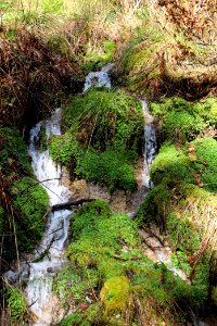 Around Schwarzenbach Northern Black Forest 2020-03-15 55