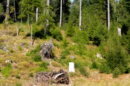 Around Schwarzenbach Northern Black Forest 2020-03-15 67