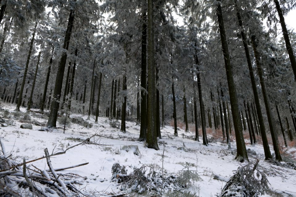 Around Weilquellpfad Taunus with snow 2021-04-06 51