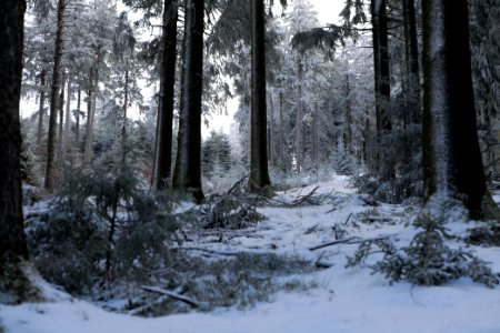 Around Weilquellpfad Taunus with snow 2021-04-06 59