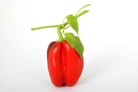 Pepper raw healthy photo