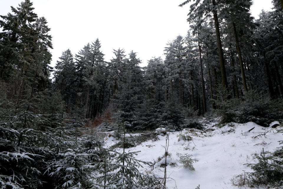 Around Weilquellpfad Taunus with snow 2021-04-06 36