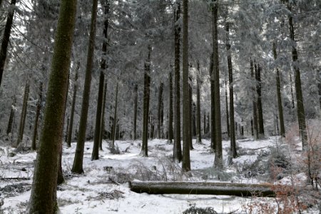 Around Weilquellpfad Taunus with snow 2021-04-06 48