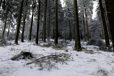 Around Weilquellpfad Taunus with snow 2021-04-06 56