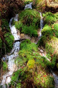 Around Schwarzenbach Northern Black Forest 2020-03-15 56