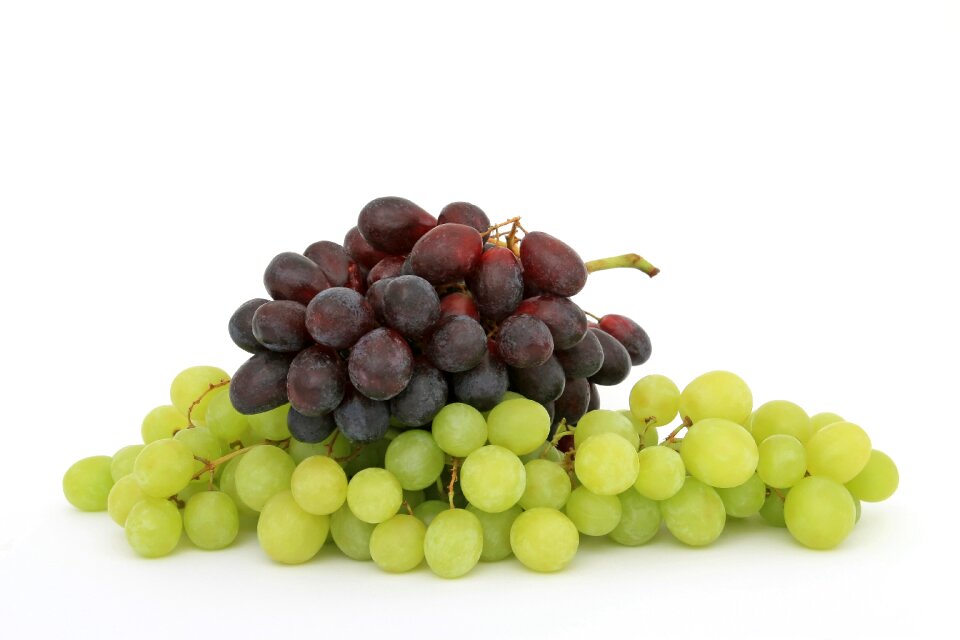 Fresh fruit fruity