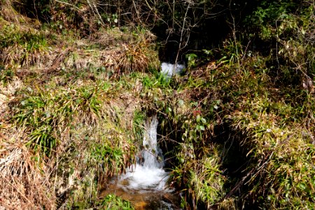 Around Schwarzenbachtalsperre 2020-03-15 05