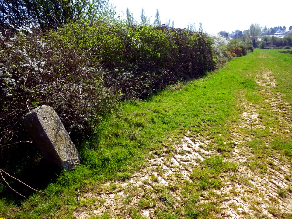 BB25 Boundary Stone, Barnhorn (2)