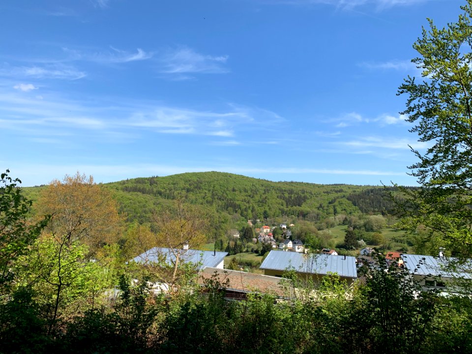Arnoldshain, Großer Eichwald (1)