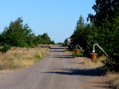 Around Cottbuser Ostsee in july 2019 06