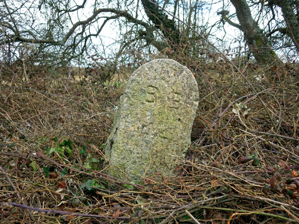 BB44 Boundary Stone, Combe Valley