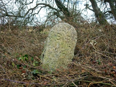 BB44 Boundary Stone, Combe Valley