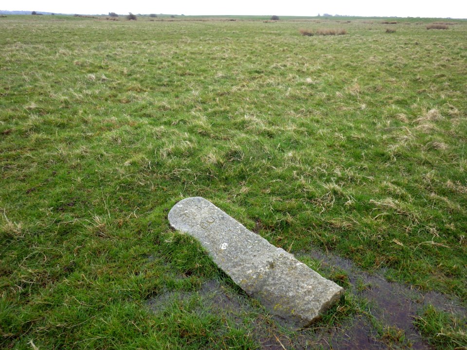 BB10 Boundary Stone, Hooe Level