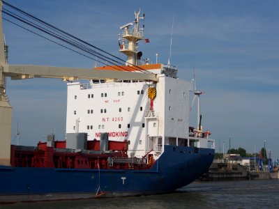 BBC Ontario - IMO 9312157, Zandvlietsluis, Port of Antwerp pic5