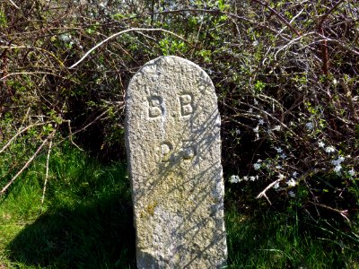 BB25 Boundary Stone, Barnhorn photo