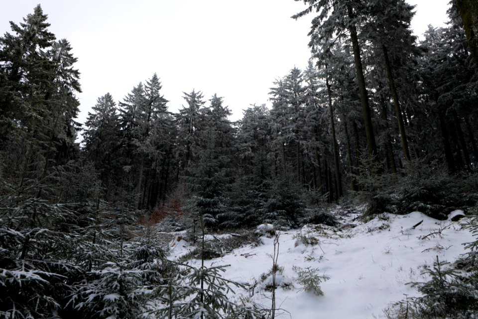 Around Weilquellpfad Taunus with snow 2021-04-06 37