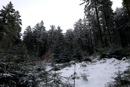 Around Weilquellpfad Taunus with snow 2021-04-06 37