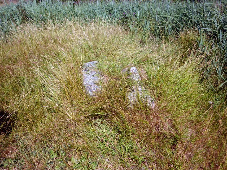 BB16 and CH14 Boundary Stones, Hooe Level