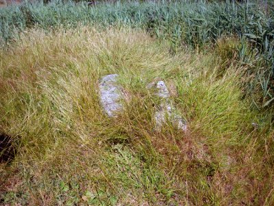 BB16 and CH14 Boundary Stones, Hooe Level