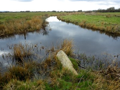 BB17 Boundary Stone, Hooe Level
