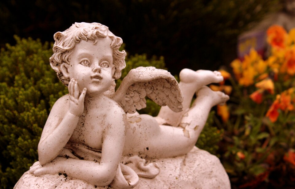 Angel wings lying based on the poor