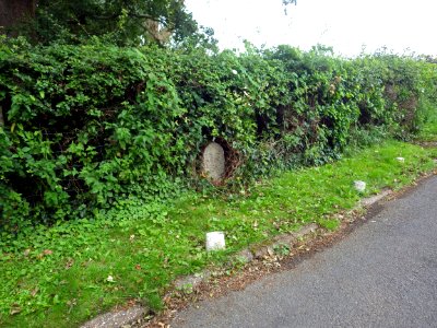 BB31 Boundary Stone, Whydown Road (2)